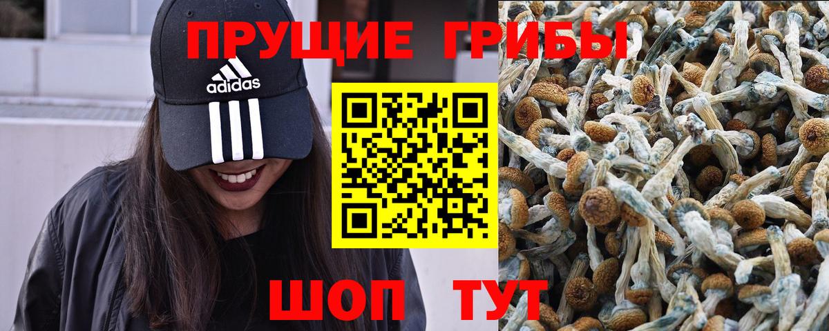 Псилоцибиновые грибы ЛСД Кушва